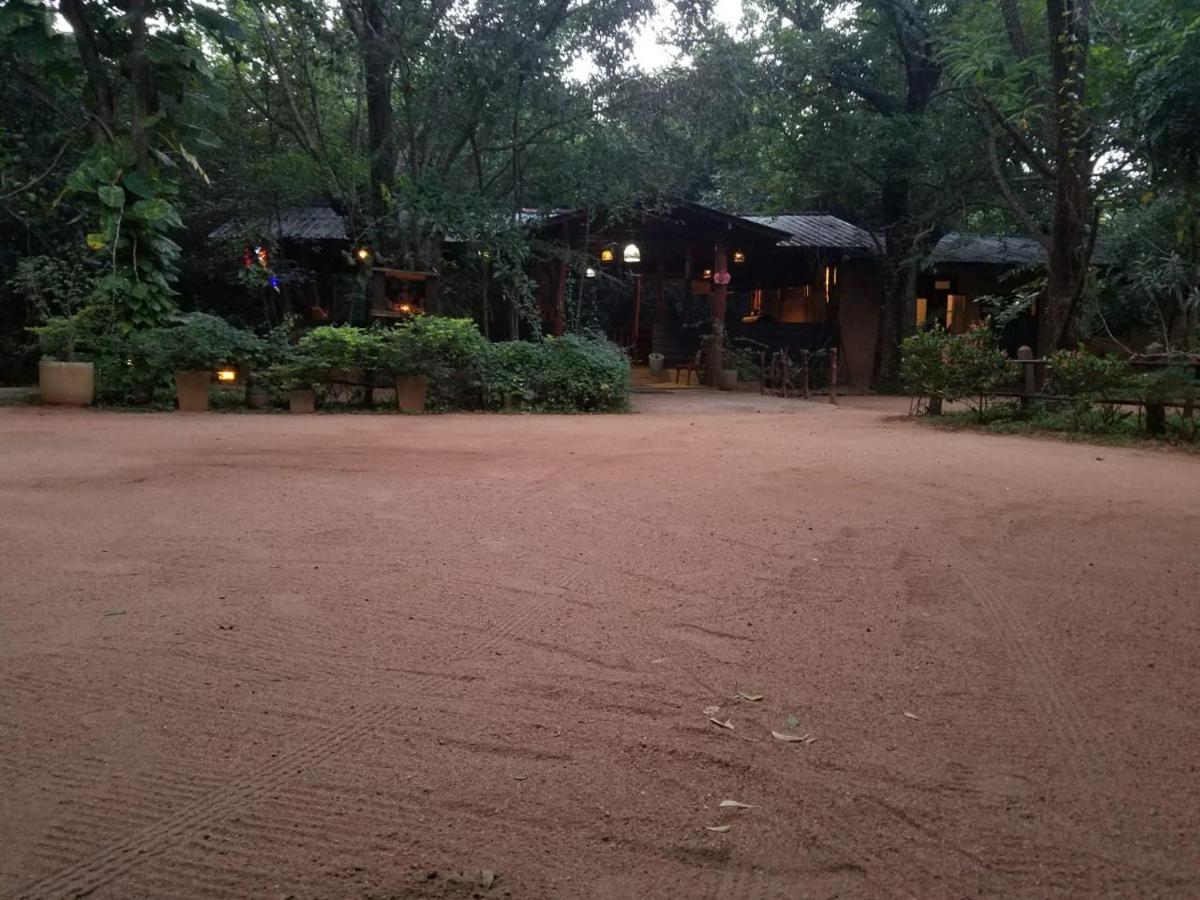 The Inn On The Tree Sigiriya Dış mekan fotoğraf