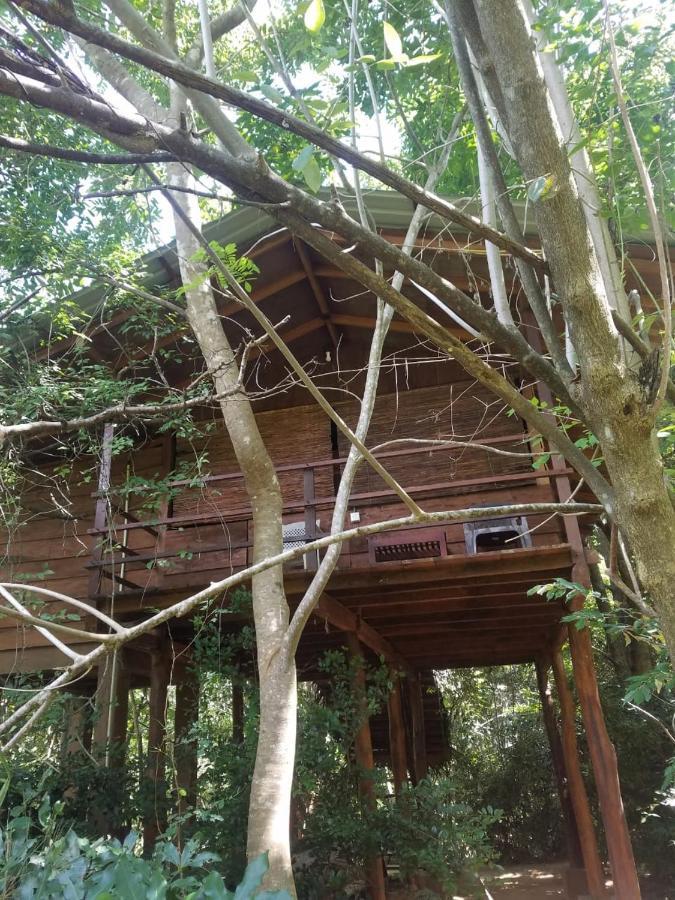 The Inn On The Tree Sigiriya Dış mekan fotoğraf