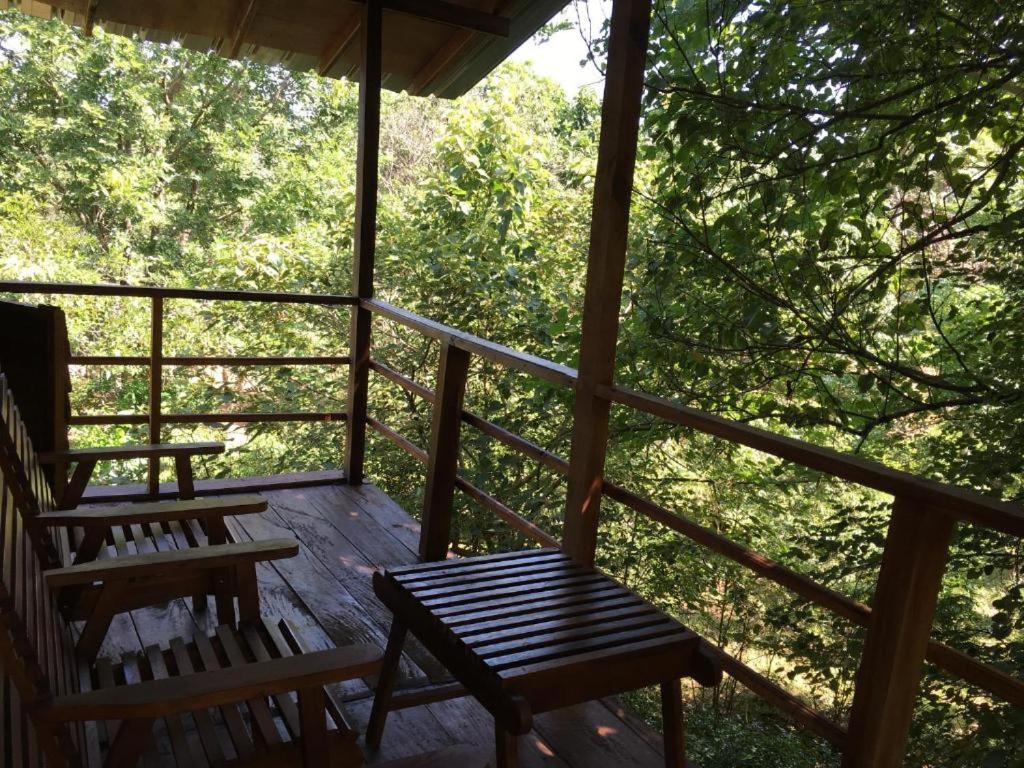The Inn On The Tree Sigiriya Dış mekan fotoğraf