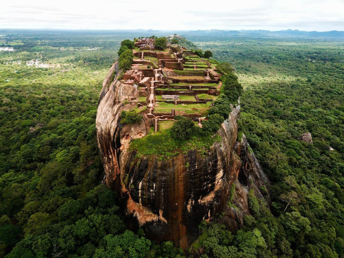 The Inn On The Tree Sigiriya Dış mekan fotoğraf