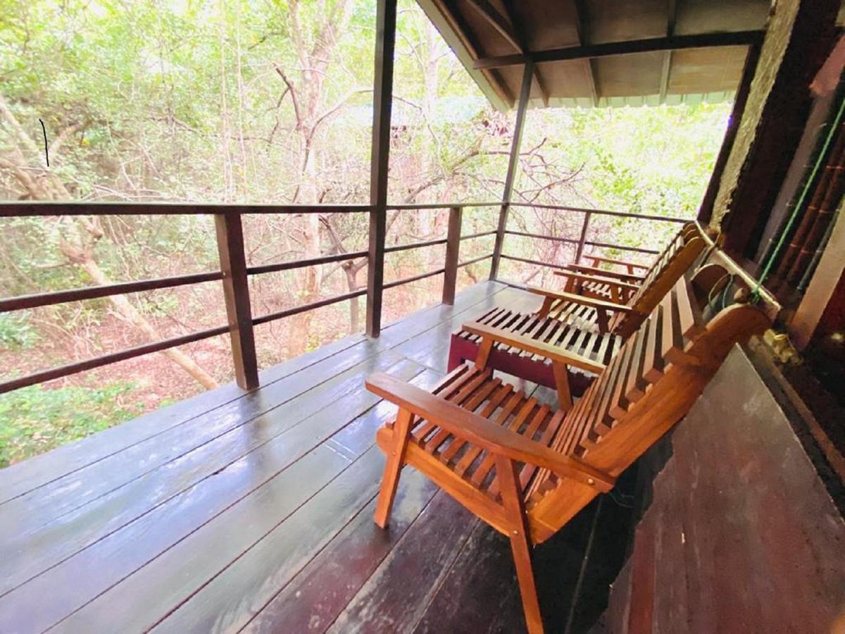 The Inn On The Tree Sigiriya Dış mekan fotoğraf