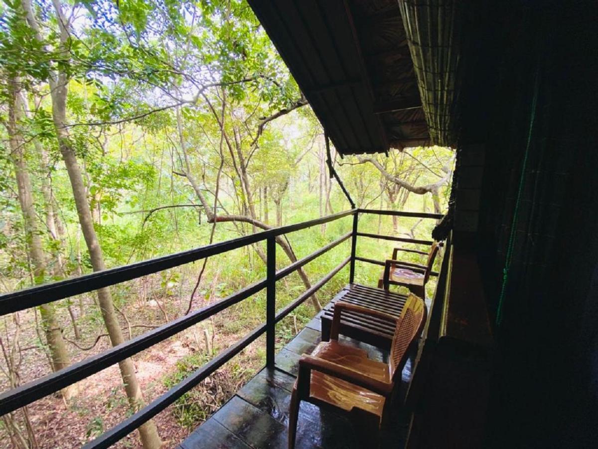 The Inn On The Tree Sigiriya Dış mekan fotoğraf